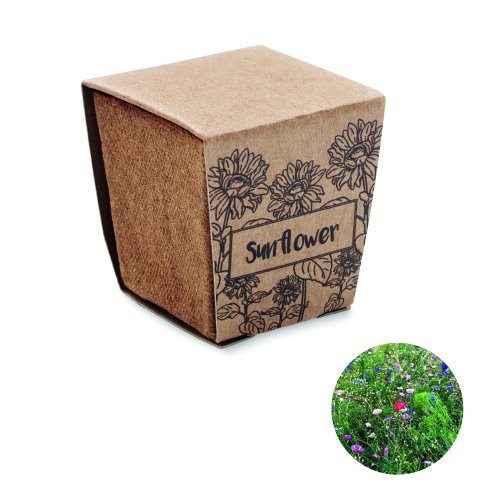 Auringonkukan viljelypakkaus SUNFLOWER KIT, hinta 1,78€