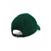 AUTHENTIC LIPPIS Bottle Green