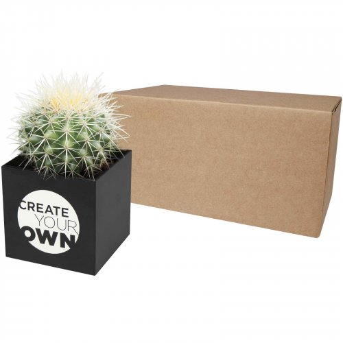 Hey Pots kaktusruukku, alumiinia Musta, hinta 24,14€