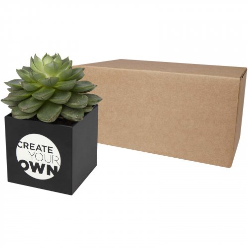 Hey Pots mehikasviruukku, alumiinia Musta, hinta 24,14€