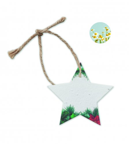 Joulukoriste STARSEED, hinta 0,86€