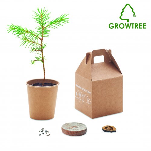 Kasvata kuusisetti GROWTREE™, hinta 5,40€