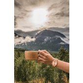 KELLO VEGA SAARNI Saarni