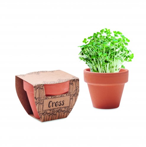 Krassin siemeniä ruukussa CRESS POT, hinta 1,76€