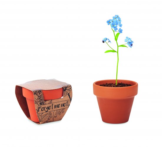 Terracotta ruukku FORGET ME NOT, hinta 1,76€