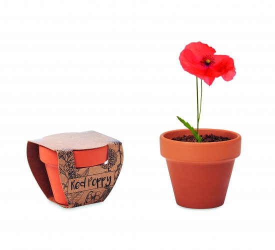 Terracotta ruukku RED POPPY, hinta 1,76€